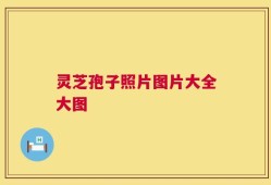 灵芝孢子照片图片大全大图