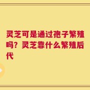 灵芝可是通过孢子繁殖吗？灵芝靠什么繁殖后代