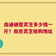 南通破壁灵芝多少钱一斤？南京灵芝收购地址
