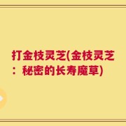 打金枝灵芝(金枝灵芝：秘密的长寿魔草)