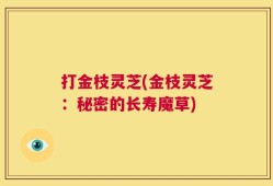 打金枝灵芝(金枝灵芝：秘密的长寿魔草)