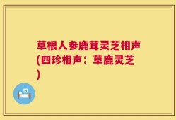 草根人参鹿茸灵芝相声(四珍相声：草鹿灵芝)