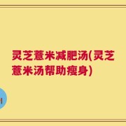灵芝薏米减肥汤(灵芝薏米汤帮助瘦身)