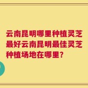云南昆明哪里种植灵芝最好云南昆明最佳灵芝种植场地在哪里？