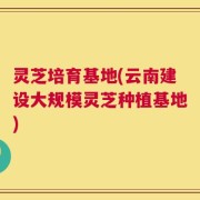 灵芝培育基地(云南建设大规模灵芝种植基地)