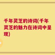 千年灵芝的诗词(千年灵芝的魅力在诗词中呈现)