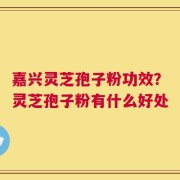 嘉兴灵芝孢子粉功效？灵芝孢子粉有什么好处