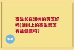 寄生长在活树的灵芝好吗(活树上的寄生灵芝有益健康吗？