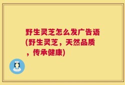 野生灵芝怎么发广告语(野生灵芝，天然品质，传承健康)