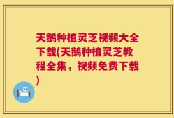 天鹅种植灵芝视频大全下载(天鹅种植灵芝教程全集，视频免费下载)