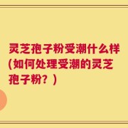 灵芝孢子粉受潮什么样(如何处理受潮的灵芝孢子粉？)