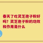 春天了吃灵芝孢子粉好吗？灵芝孢子粉的功效和作用是什么
