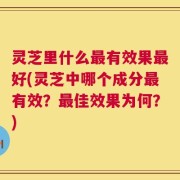灵芝里什么最有效果最好(灵芝中哪个成分最有效？最佳效果为何？)