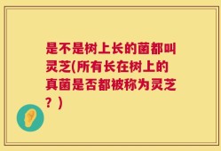 是不是树上长的菌都叫灵芝(所有长在树上的真菌是否都被称为灵芝？)