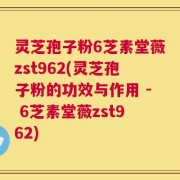 灵芝孢子粉6芝素堂薇zst962(灵芝孢子粉的功效与作用 - 6芝素堂薇zst962)