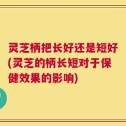灵芝柄把长好还是短好(灵芝的柄长短对于保健效果的影响)