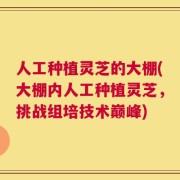 人工种植灵芝的大棚(大棚内人工种植灵芝，挑战组培技术巅峰)