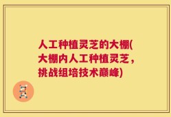人工种植灵芝的大棚(大棚内人工种植灵芝，挑战组培技术巅峰)