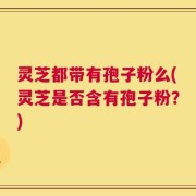 灵芝都带有孢子粉么(灵芝是否含有孢子粉？)