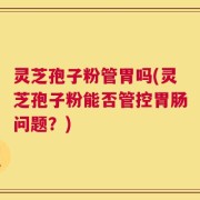 灵芝孢子粉管胃吗(灵芝孢子粉能否管控胃肠问题？)
