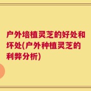 户外培植灵芝的好处和坏处(户外种植灵芝的利弊分析)
