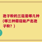 孢子粉的三菇是哪几种(哪三种蘑菇能产出孢子粉？)