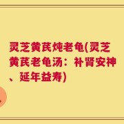 灵芝黄芪炖老龟(灵芝黄芪老龟汤：补肾安神、延年益寿)