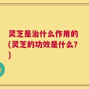 灵芝是治什么作用的 (灵芝的功效是什么？)
