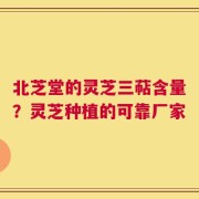 北芝堂的灵芝三萜含量？灵芝种植的可靠厂家