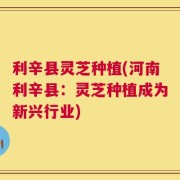 利辛县灵芝种植(河南利辛县：灵芝种植成为新兴行业)