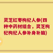 灵芝红枣枸杞人参(四种中药材组合，灵芝枸杞枸杞人参补身补脑)