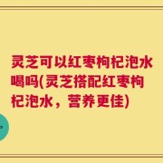 灵芝可以红枣枸杞泡水喝吗(灵芝搭配红枣枸杞泡水，营养更佳)