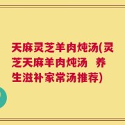 天麻灵芝羊肉炖汤(灵芝天麻羊肉炖汤  养生滋补家常汤推荐)