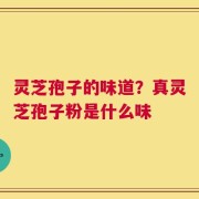 灵芝孢子的味道？真灵芝孢子粉是什么味