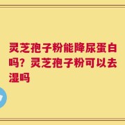 灵芝孢子粉能降尿蛋白吗？灵芝孢子粉可以去湿吗