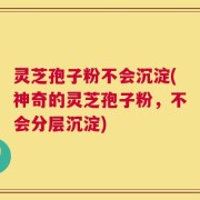 灵芝孢子粉不会沉淀(神奇的灵芝孢子粉，不会分层沉淀)
