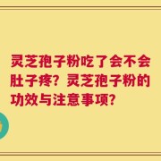 灵芝孢子粉吃了会不会肚子疼？灵芝孢子粉的功效与注意事项？