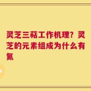 灵芝三萜工作机理？灵芝的元素组成为什么有氮