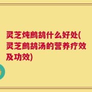灵芝炖鹧鸪什么好处(灵芝鹧鸪汤的营养疗效及功效)