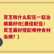 灵芝和什么配在一起治病最好吃(最佳配伍！灵芝最好搭配哪种食材治病？)