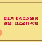 网红打卡点灵芝站(灵芝站：网红必打卡地)