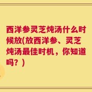 西洋参灵芝炖汤什么时候放(放西洋参、灵芝炖汤最佳时机，你知道吗？)