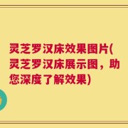 灵芝罗汉床效果图片(灵芝罗汉床展示图，助您深度了解效果)