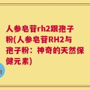 人参皂苷rh2跟孢子粉(人参皂苷RH2与孢子粉：神奇的天然保健元素)