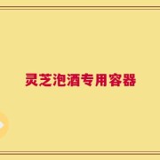 灵芝泡酒专用容器