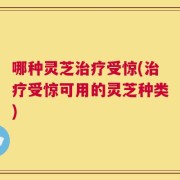 哪种灵芝治疗受惊(治疗受惊可用的灵芝种类)