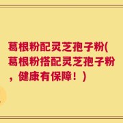 葛根粉配灵芝孢子粉(葛根粉搭配灵芝孢子粉，健康有保障！)