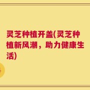 灵芝种植开盖(灵芝种植新风潮，助力健康生活)