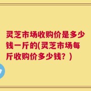 灵芝市场收购价是多少钱一斤的(灵芝市场每斤收购价多少钱？)