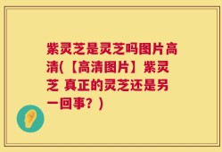 紫灵芝是灵芝吗图片高清(【高清图片】紫灵芝 真正的灵芝还是另一回事？)